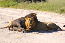 チョベ国立公園の写真