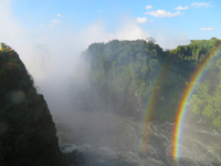 リビングストンの写真