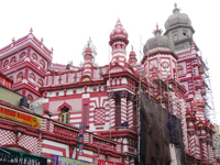 コロンボの写真