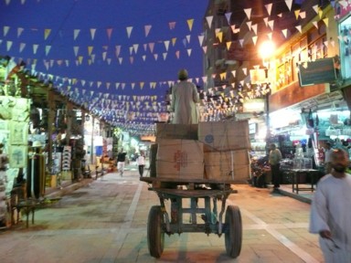 ロバを操る地元のおじさんの姿