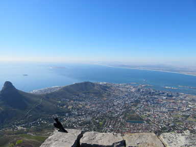 都会のすぐ隣にそびえる標高1000mの山