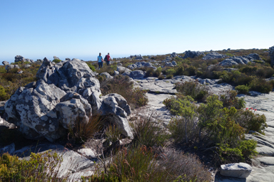 テーブルマウンテンの上を歩くスリルある道