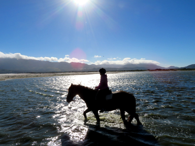 日本と正反対の風景に心が洗われる瞬間