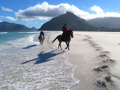短い体験が一生の記憶になる旅の魅力