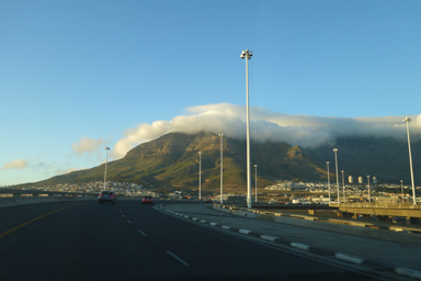 走り出してすぐに現れた絶景に心を奪われる