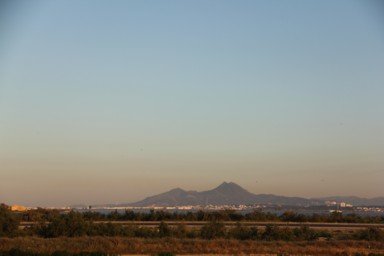 タクシー運転手との会話ににじむ革命の記憶