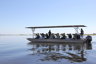 サファリで出会った不思議な生き物
