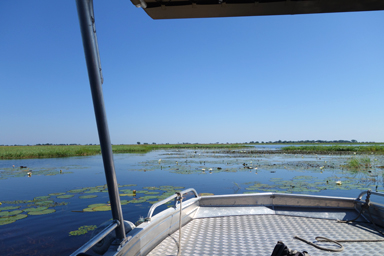 開放的なボートで出発する初サファリ