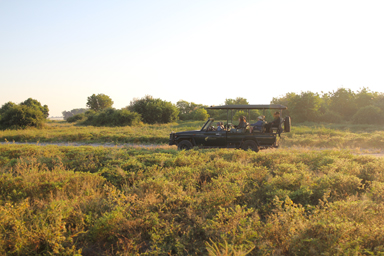 開放的なジープで2度目のサファリへ