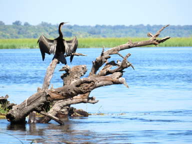 サファリボートでのタイタニック気分