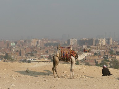 ホテルの窓から見えるピラミッドの景色