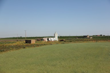列車の車窓から見える緑の大地と海