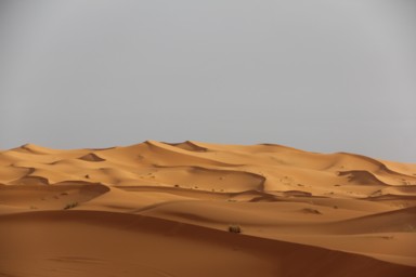 モロッコのメルズーガに広がる果てしない砂丘