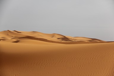 人と風が残す砂漠の足跡と風紋