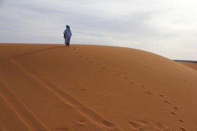 砂漠に生きる人とラクダの自然な佇まい