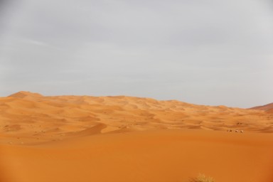 果てしなく広がるサハラ砂漠の風景