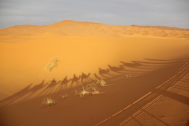 砂漠の風景に溶け込む旅人の姿