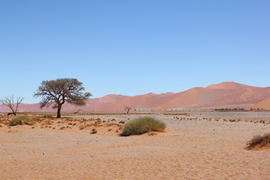 砂漠で出会った日本人ツアー客