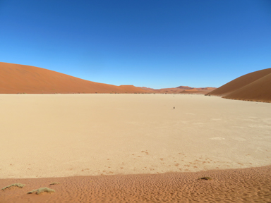白い大地に点在する足跡の謎