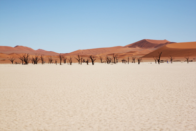 歩いても近づかない夢のような風景