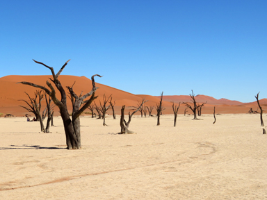 見慣れない風景が続く朝の旅路