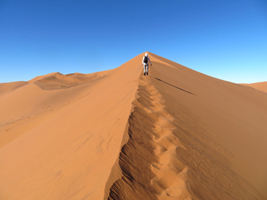 朝の砂漠に続く足跡の道