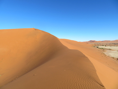 風によって形作られる砂丘の様子