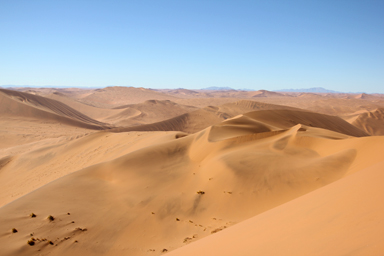 ミネラルウォーター片手に歩く砂漠の冒険