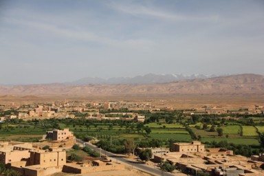 通り過ぎる町で感じたバラの香り