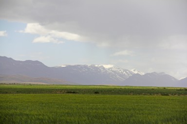雨上がりの大地の匂いに包まれる瞬間