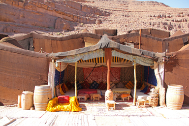 白い猫が癒してくれる村のひととき