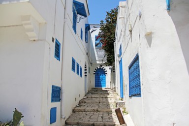 美しい景色と猫と店に立ち止まる旅の時間