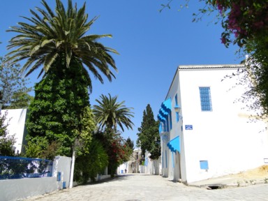 ヤシの木が巨大パイナップルのように見える風景