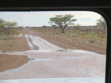 一瞬の大雨で濡れる大地の様子