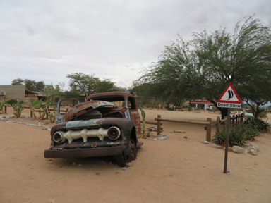 振り返ると少し怖い野生の気配