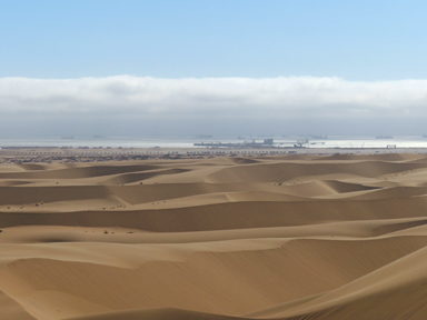 砂漠の先に広がる海と生命の神秘