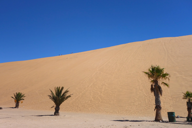緑が点在する砂丘の始まりの風景