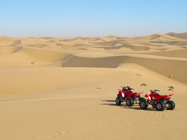海に面したナミブ砂漠のバギーのアクティビティ