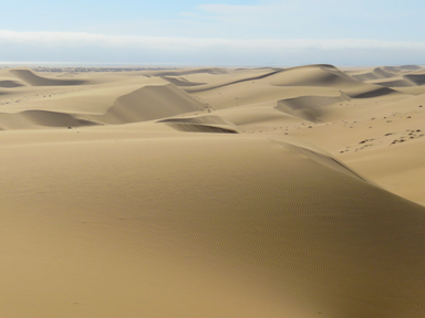 気温18度の砂漠でのピクニック気分