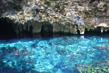 青がキラキラと輝くセノーテ