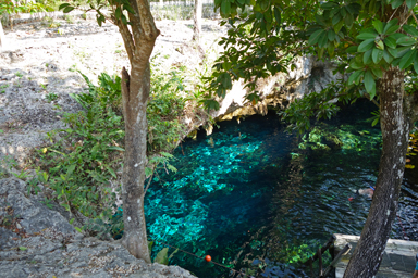 赤と青、異なる血の色を感じる地球の神秘