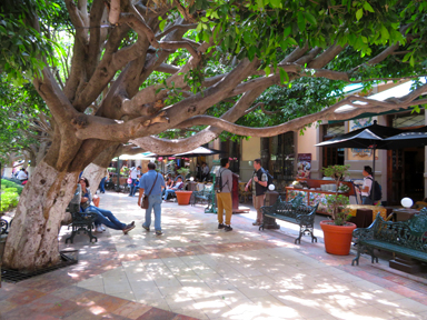 手のひらに映る影が語る時間の流れ