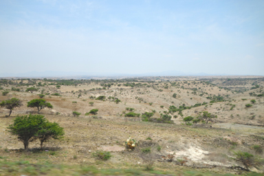 町を離れ、広がる大地を眺めるタクシーの中