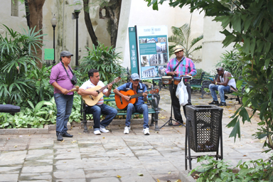 音楽と踊りの本来の楽しみ方を思い出す場所