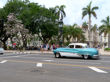 旧車の顔に刻まれた渋い魅力と時間の重み