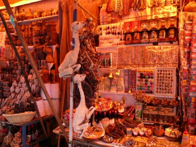 黒魔術に使われるリャマのミイラの謎