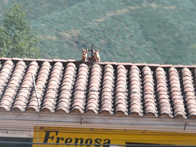 世界中で守り神となる獅子の存在