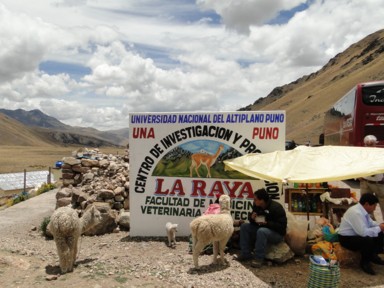 標高4335mのララヤ峠に到着