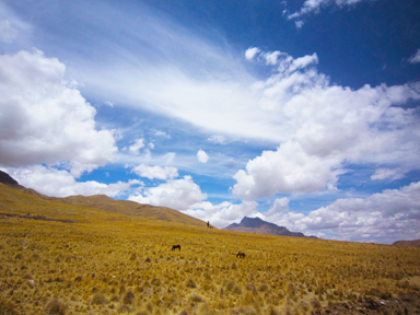 雲を眺めながら思いつく次の楽しみ方