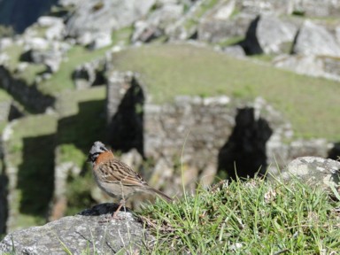 芝生に座り鳥の声に耳をすますひととき